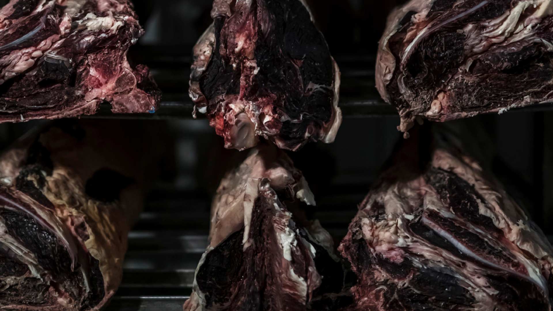 ACHATZ_Vinzenzmurr_Metzgerei_Kampagne_campaign_foodfotografie_manuel_uebler_dryaged